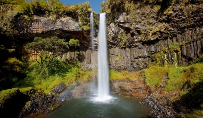 Aberdare National Park