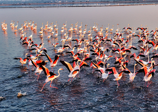 Lake Nakuru National Park