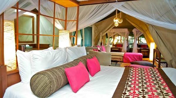 Samburu Intrepids Camp