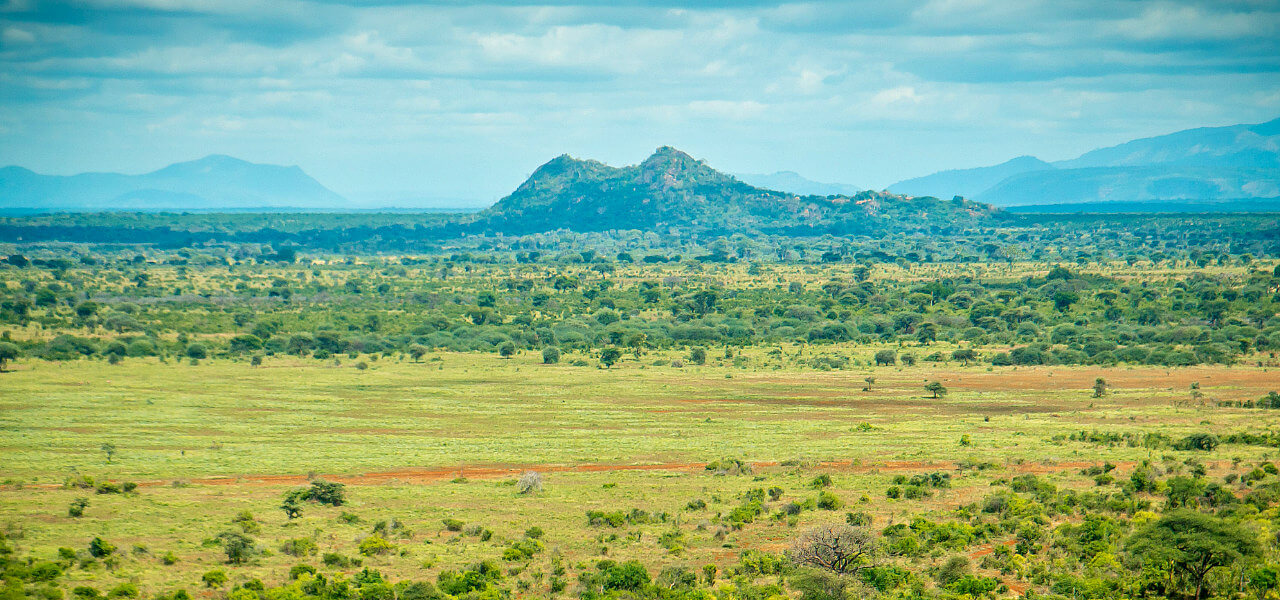Day 9 - Amboseli - Arusha - Tarangire