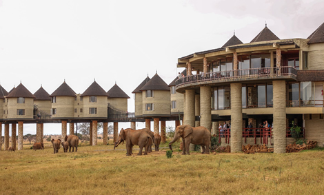 2 Days Tsavo East and Taita Hills Salt Lick Safari