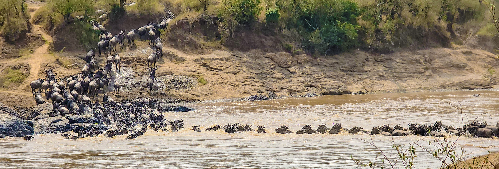 3 Days Lake Nakuru and Masai Mara Safari