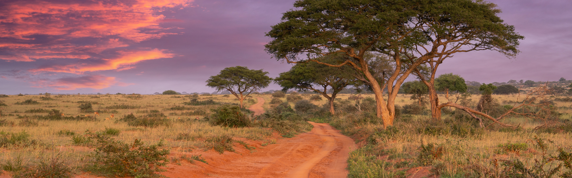 5 Days Masai Mara Amboseli and Tsavo West combination air safari