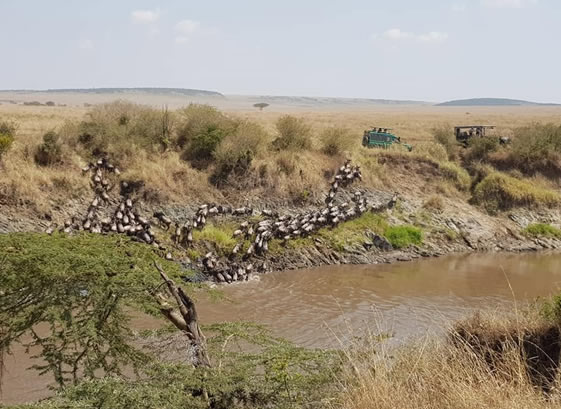 Great Rift Valley Safari