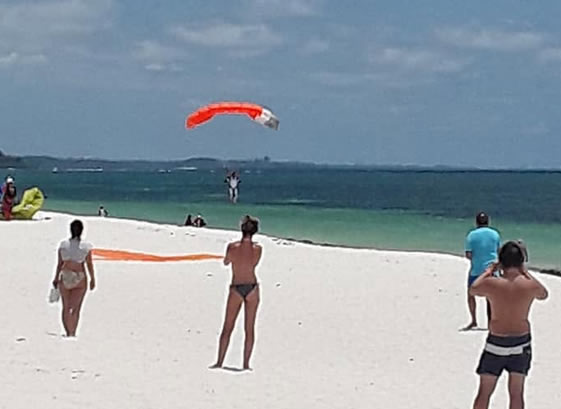 Bush & Beach Experience