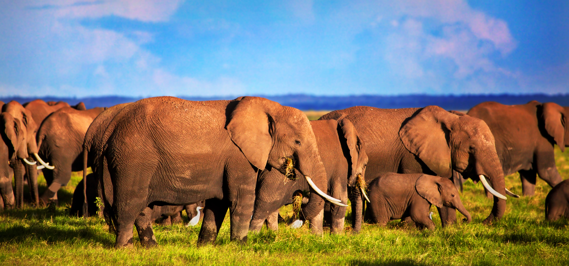 Tsavo East National Park
