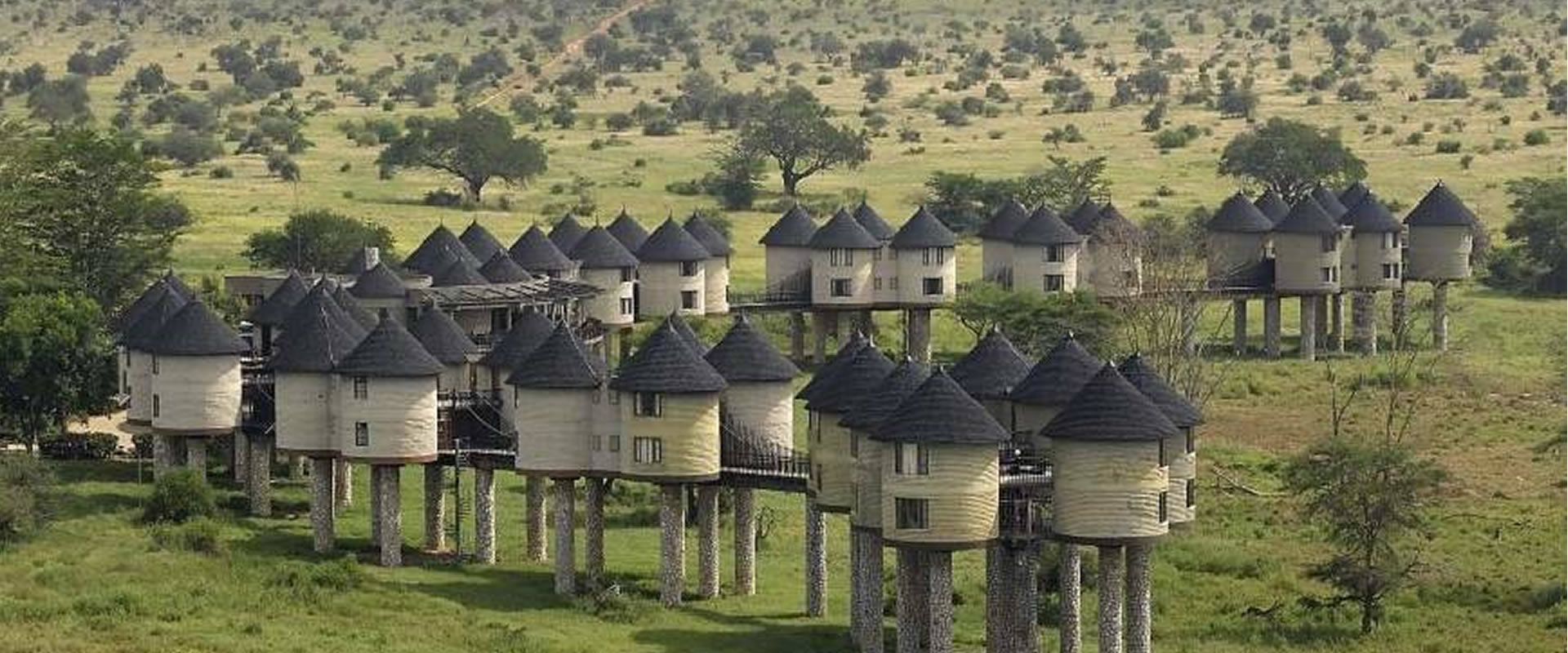 Day 1 - Mombasa – Tsavo East – Taita Hills / Salt Lick