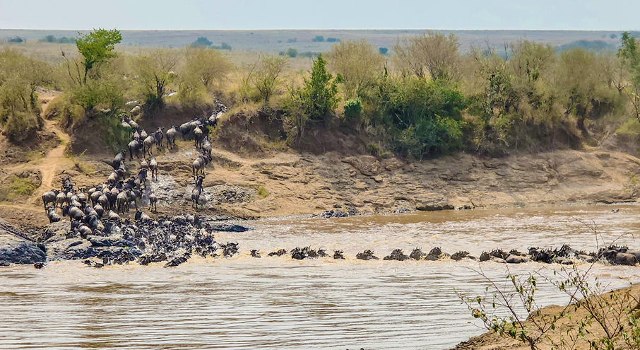 Mombasa - Masai Mara