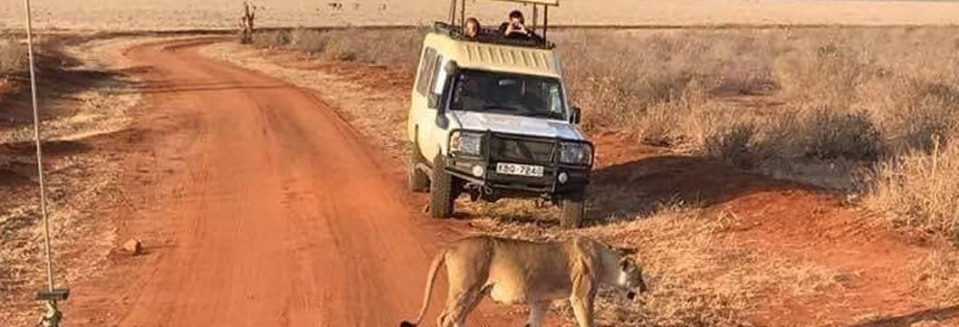 Tsavo East – Tsavo West National Park