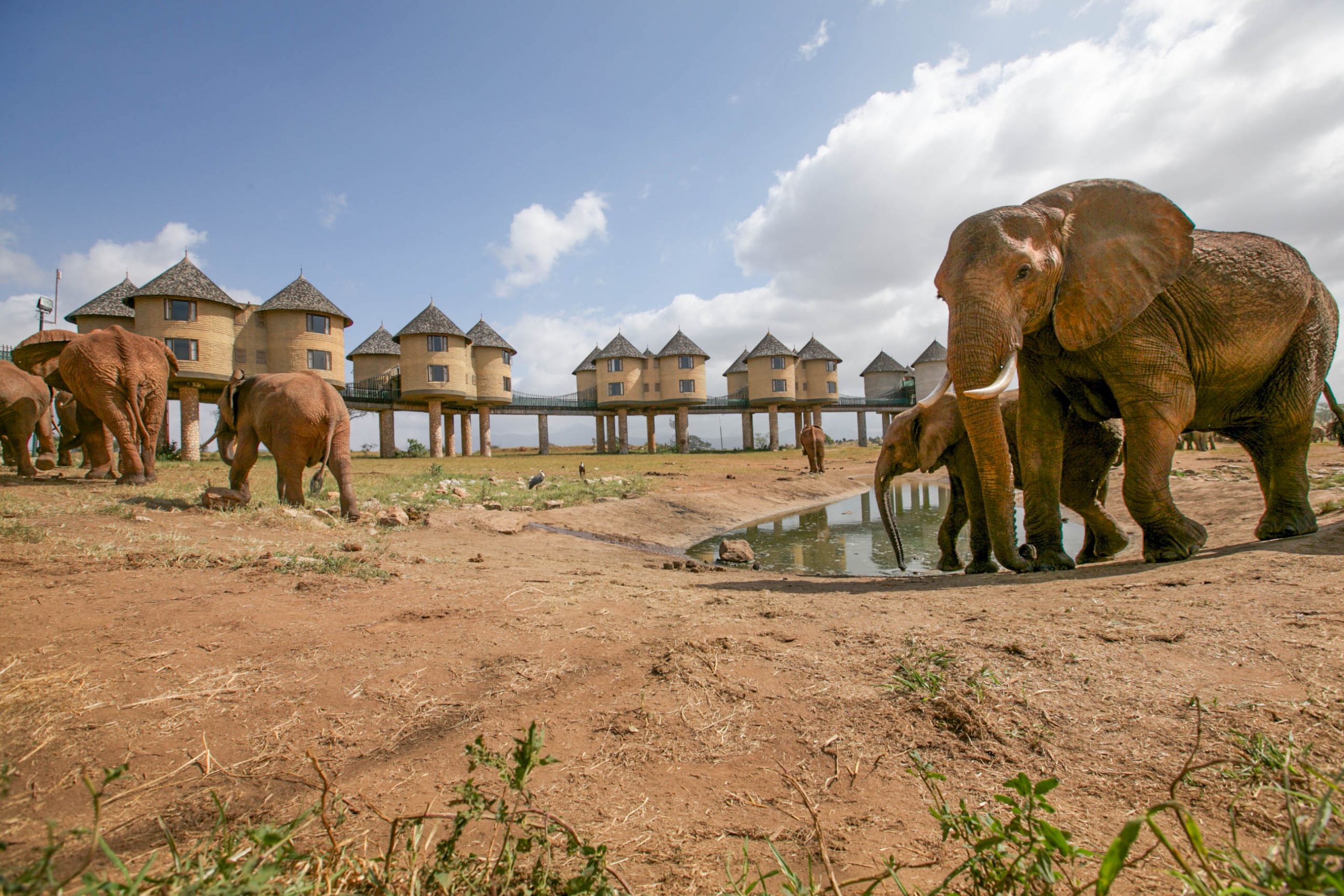 Tsavo East – Taita Hills / LUMO Wildlife Sanctuary