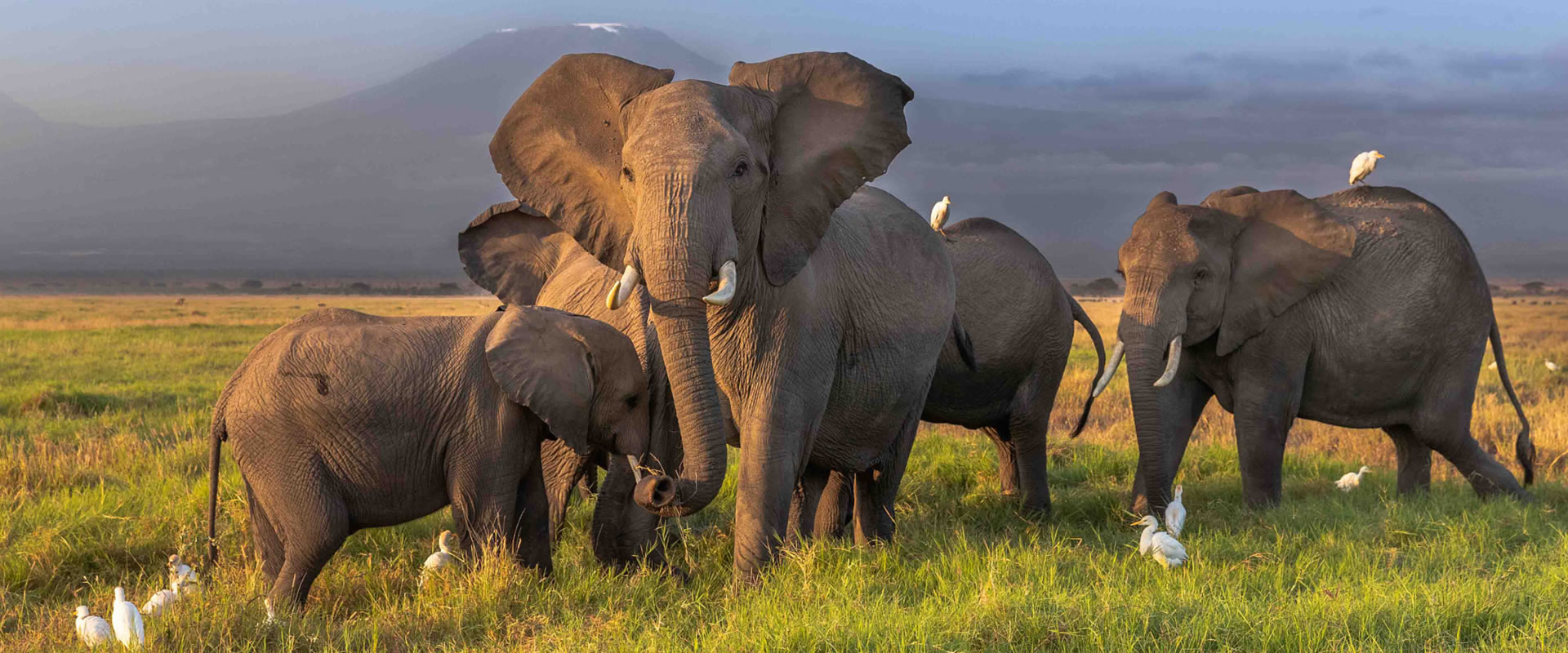 Day 2 - Tsavo West – Amboseli National Park