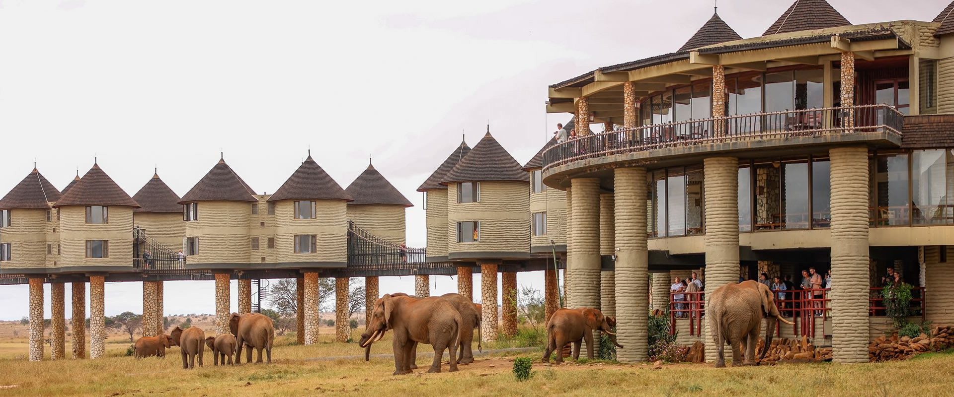 Day 3 - Amboseli – Taita Hills / Salt Lick