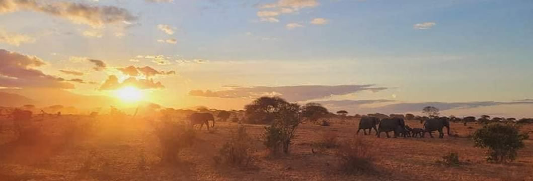 Mombasa – Tsavo West National Park