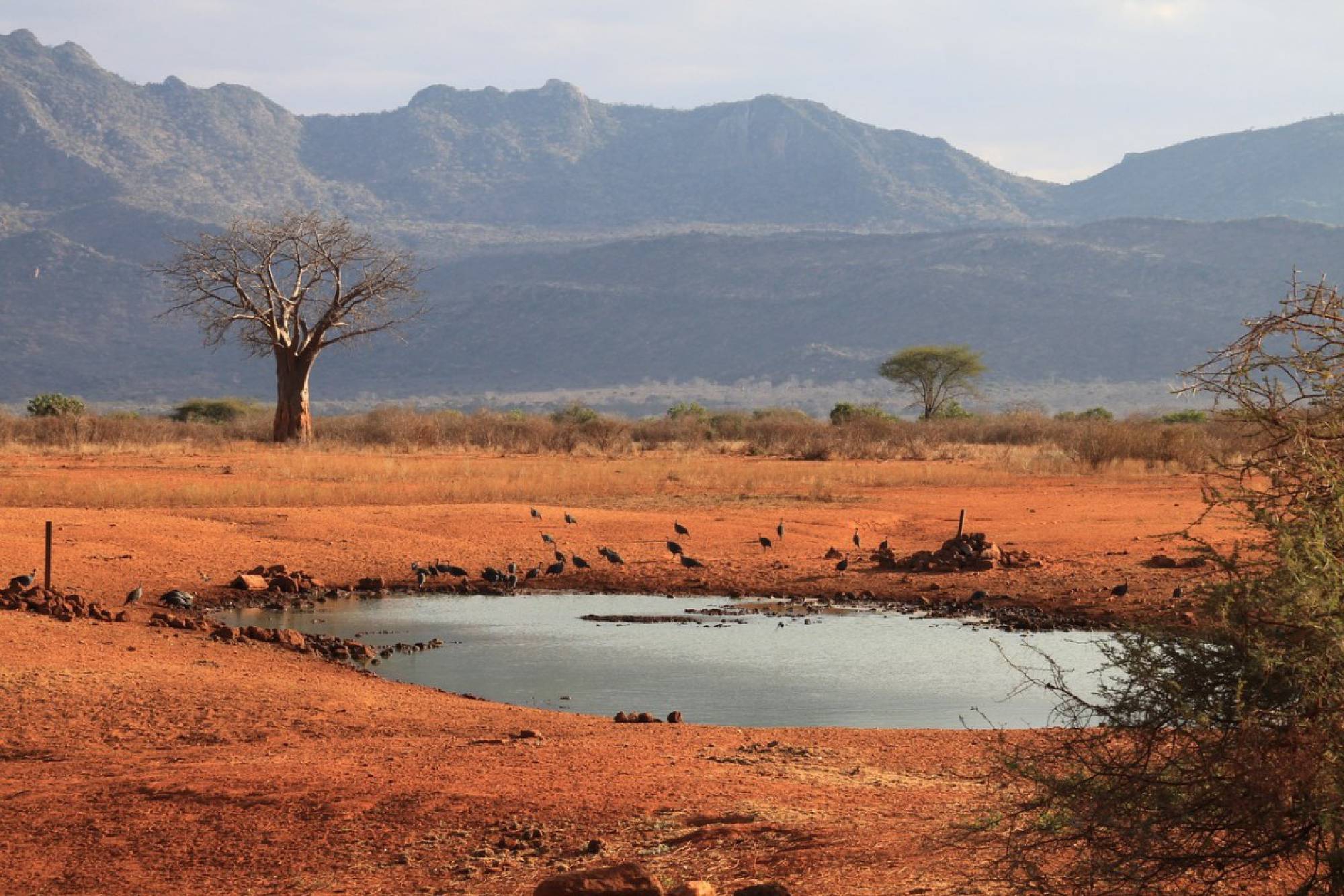 Mombasa – Tsavo East National Park
