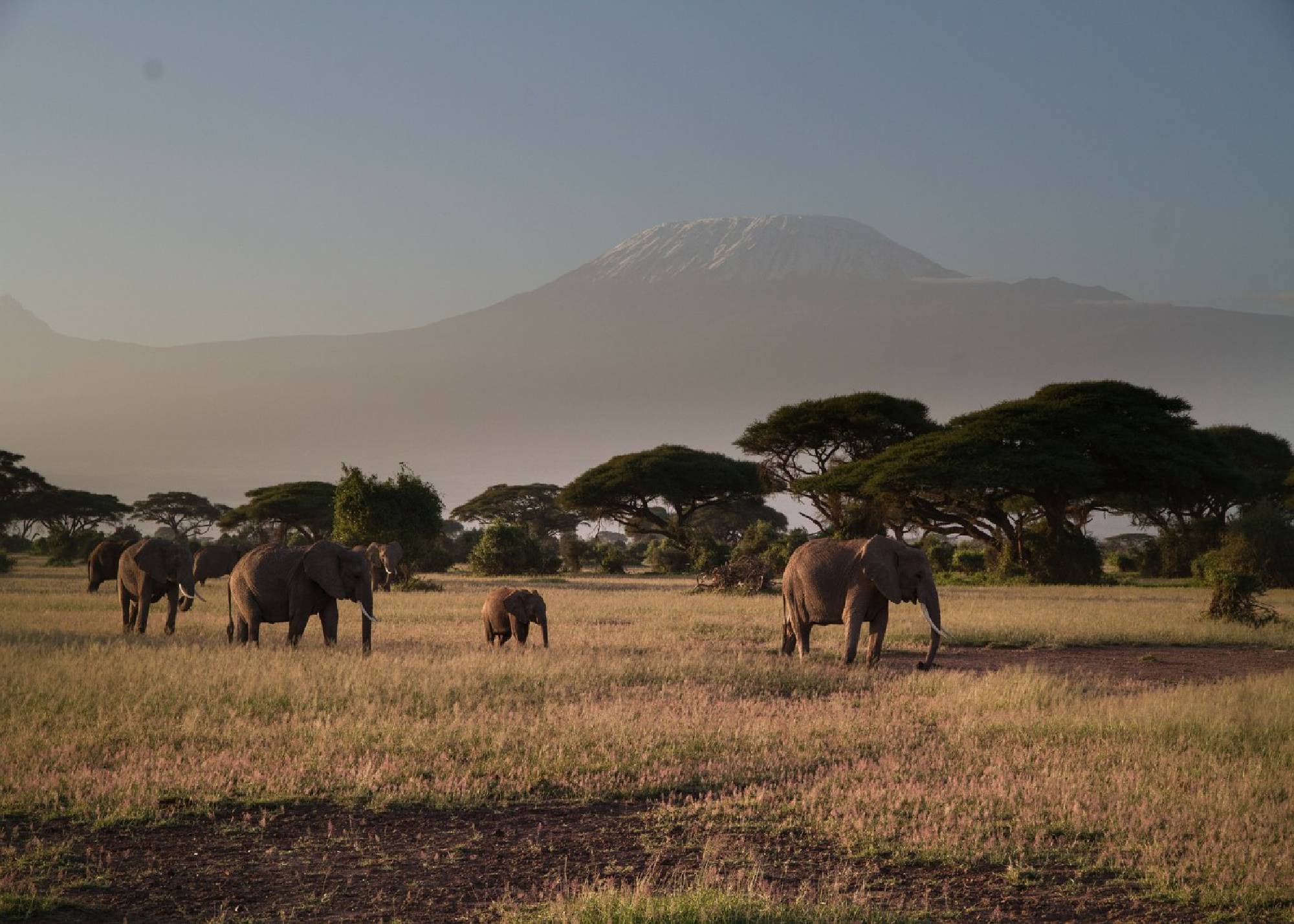 Tsavo East – Tsavo West National Park