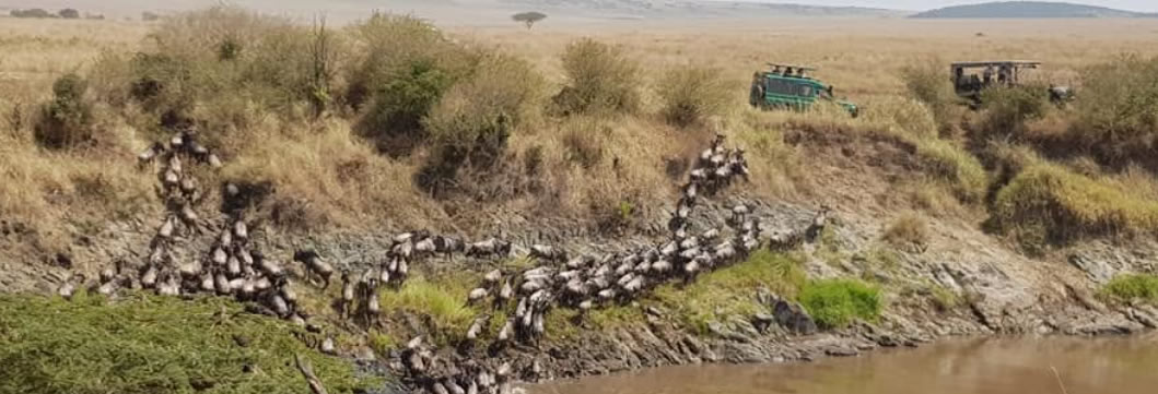 Maasai Mara – Lake Naivasha