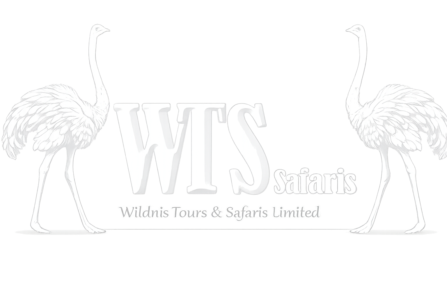 WT Safaris Limited