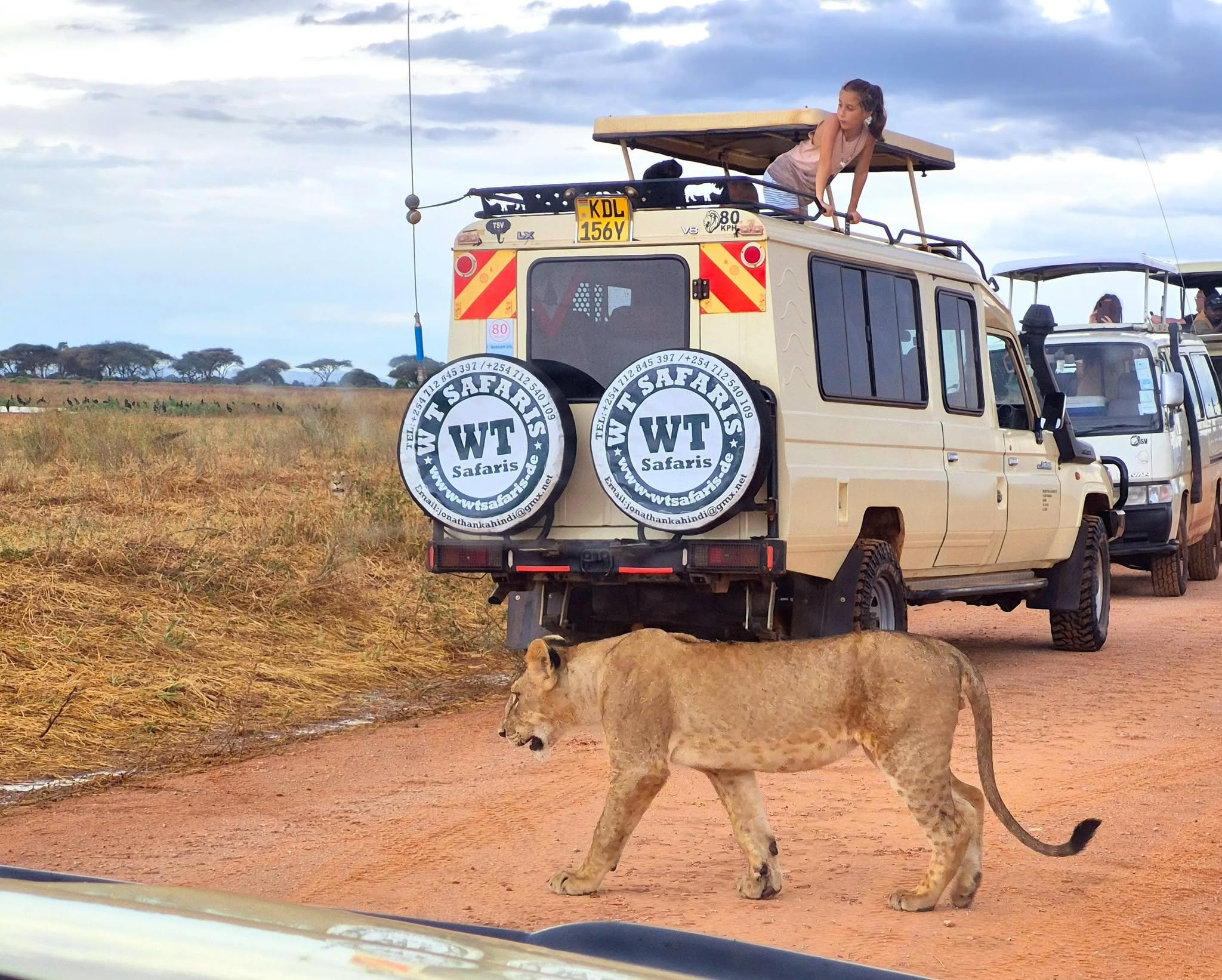 1 Day Tsavo East Safari