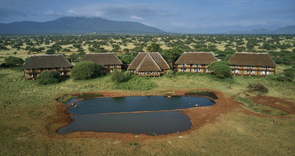 3 Days Ngutuni & Salt Lick Safari