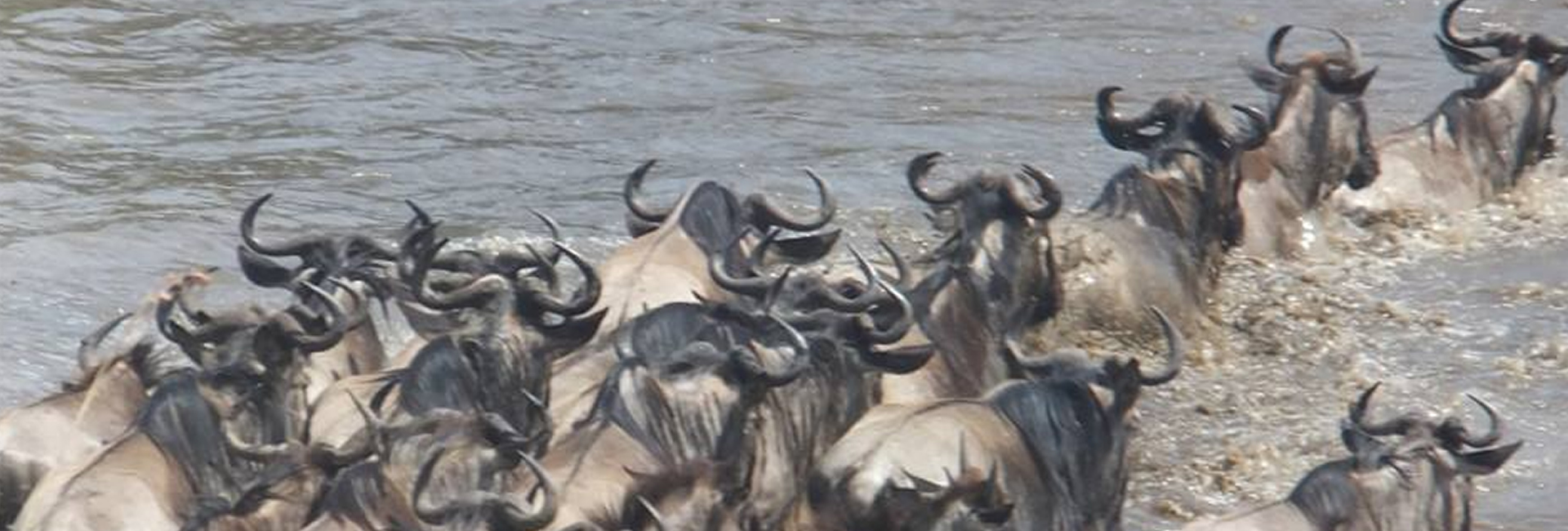 4 Days Masai Mara Air Safari